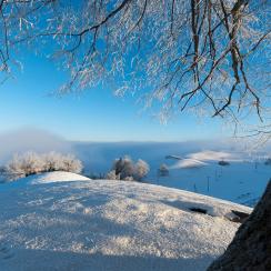 멘징겐 겨울 풍경, 추크州