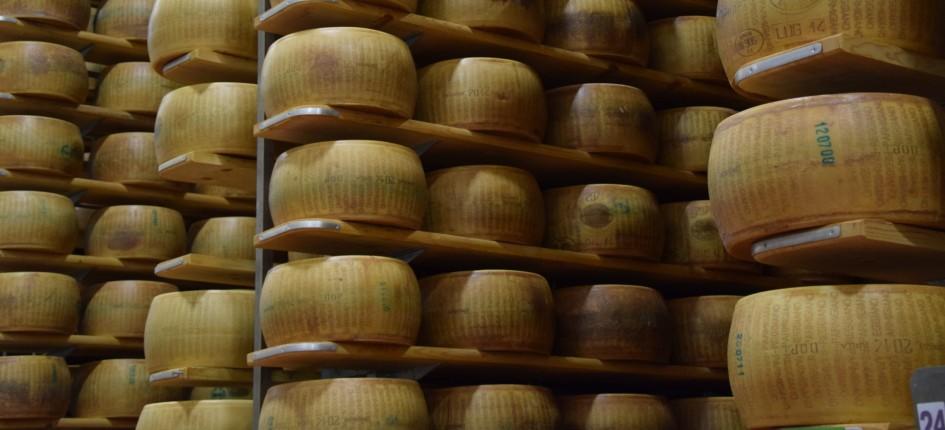  parmesan cheese dairy , cheese factory 