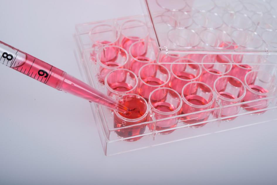 细胞培养生化试验科学实验室设备