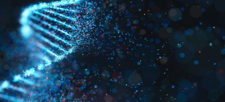 Le projet DNAMIC représente un pas important vers la conservation durable et à long terme des données, en tirant parti de la longévité inhérente et de la nature compacte de l’ADN.