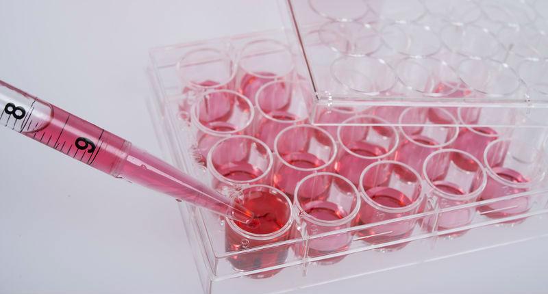 Biochemical tests of cell culture.  Equipment for scientific lab.
