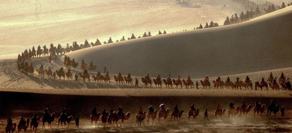 Una carovana di cammelli nel deserto