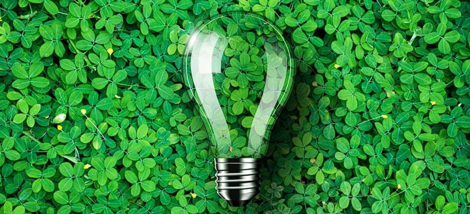 a light bulb on green gras background