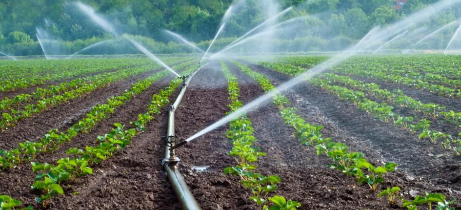 sistema di irrigazione in un campo