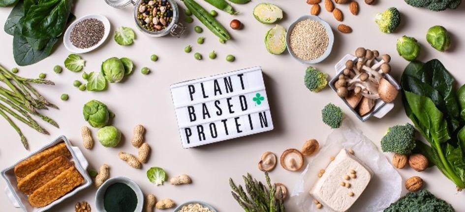 "plant based proteins" schild umgeben cvon esswaren