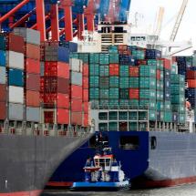 Mit Ausnahme der Fahrzeugsparte verbuchten alle erfassten Warengruppen gegenüber dem Vorjahresmonat ein Exportplus