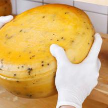 formaggio svizzero, torte, pasta e senape vengono inviati negli USA