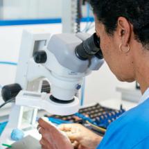 Frau untersucht Proben unter dem Mikroskop