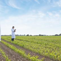 Syngenta is looking for research partners for its Seeds and Crop Protection divisions. Image credit: Syngenta/Martin Barraud