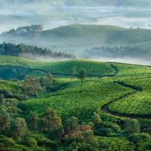 green hills in countryside in india