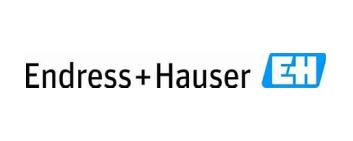 Logo Endress+Hauser