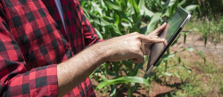 Le aziende svizzere possono dare un impulso al settore agricolo in Brasile grazie a tecnologie innovative 