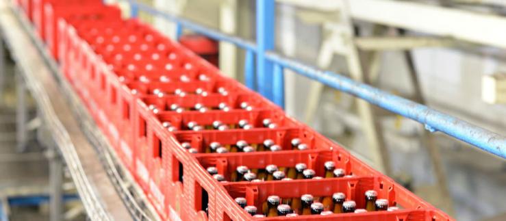 Production de bière dans une usine