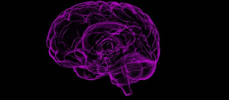 Positrigo hat ein neues Gerät zur Bildgebung des Gehirns entwickelt. 