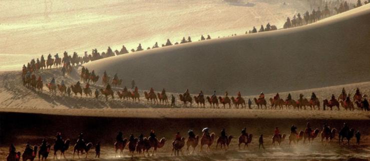 Caravane de chameaux dans le désert
