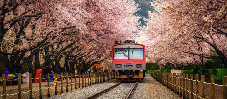 Navigieren auf den Gleisen: Chancen in der koreanischen Eisenbahnindustrie