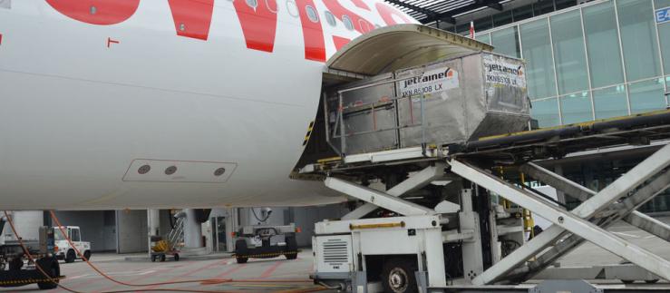 A plane's trunk is filled with cargo.
