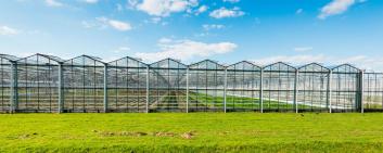 Picture of greenhouses