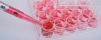 Biochemical tests of cell culture. Equipment for scientific lab.