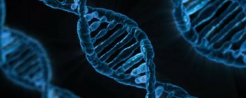 Séquençage d'ADN