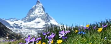 Switzerland, known for its abundant alpine plants containing valuable active ingredients, is a prime location for the cosmetics industry. While large luxury brands are established in the country, many small companies innovate in cosmetics based on natural and organic ingredients.