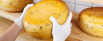 Swiss cheese, cakes, pasta or mustard are being delivered to the USA