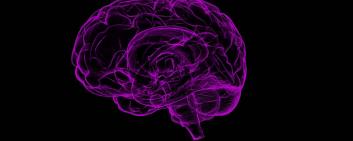 Positrigo hat ein neues Gerät zur Bildgebung des Gehirns entwickelt. 