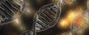 Genomic data DNA