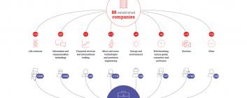 Established companies by sector of activity