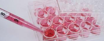 Biochemical tests of cell culture.  Equipment for scientific lab.