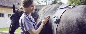 Diagnosemessgerät für Pferde.