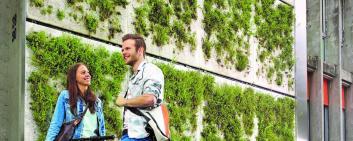 The Skyflor® green wall system developed by HEPIA offers vertical oases of greenery.