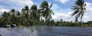 Large solar panels in a rainforest in the Philippines among the palm trees