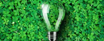 una lampadina su sfondo verde prato