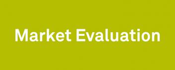 Market Evaluation